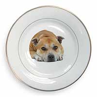 Red Staffordshire Bull Terrier Dog Gold Rim Plate Printed Full Colour in Gift Bo