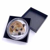 Red Staffordshire Bull Terrier Dog Glass Paperweight in Gift Box