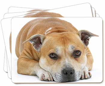 Red Staffordshire Bull Terrier Dog Picture Placemats in Gift Box