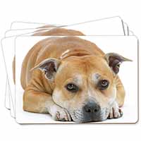 Red Staffordshire Bull Terrier Dog Picture Placemats in Gift Box