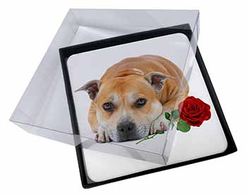 4x Red Staffie with Rose Picture Table Coasters Set in Gift Box