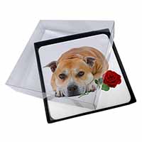 4x Red Staffie with Rose Picture Table Coasters Set in Gift Box