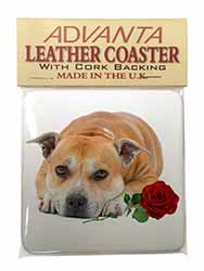 Red Staffie with Rose Single Leather Photo Coaster
