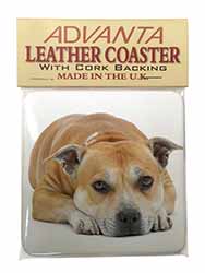 Red Staffordshire Bull Terrier Dog Single Leather Photo Coaster