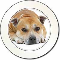 Red Staffordshire Bull Terrier Dog Car or Van Permit Holder/Tax Disc Holder