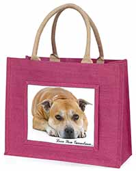 Staffie 