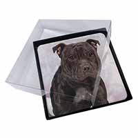 4x Staffordshire Bull Terrier Picture Table Coasters Set in Gift Box