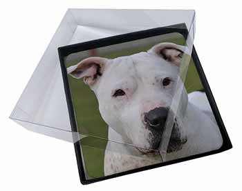 4x American Staffordshire Bull Terrier Dog Picture Table Coasters Set in Gift Bo