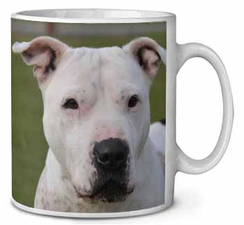 American Staffordshire Bull Terrier Dog Ceramic 10oz Coffee Mug/Tea Cup