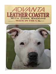 American Staffordshire Bull Terrier Dog Single Leather Photo Coaster