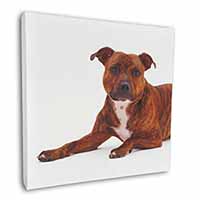 Staffordshire Bull Terrier Dog Square Canvas 12"x12" Wall Art Picture Print