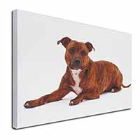 Staffordshire Bull Terrier Dog Canvas X-Large 30"x20" Wall Art Print