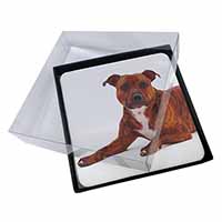 4x Staffordshire Bull Terrier Dog Picture Table Coasters Set in Gift Box