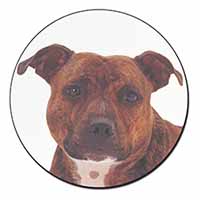 Staffordshire Bull Terrier Dog Fridge Magnet Printed Full Colour