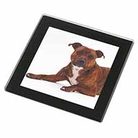 Staffordshire Bull Terrier Dog Black Rim High Quality Glass Coaster