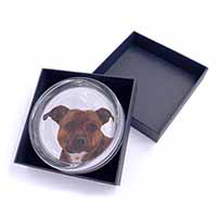 Staffordshire Bull Terrier Dog Glass Paperweight in Gift Box
