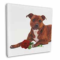 Staffie with Red Rose Square Canvas 12"x12" Wall Art Picture Print