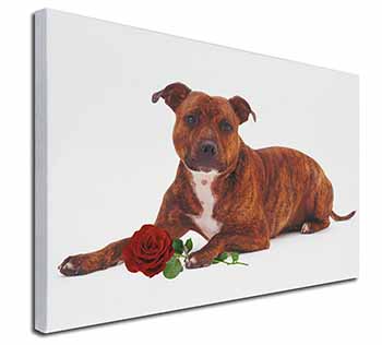 Staffie with Red Rose Canvas X-Large 30"x20" Wall Art Print