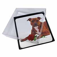 4x Staffie with Red Rose Picture Table Coasters Set in Gift Box