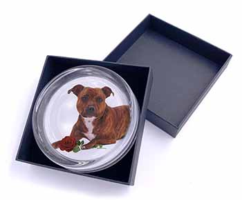 Staffie with Red Rose Glass Paperweight in Gift Box
