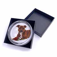 Staffie with Red Rose Glass Paperweight in Gift Box