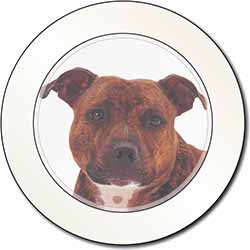 Staffordshire Bull Terrier Dog Car or Van Permit Holder/Tax Disc Holder