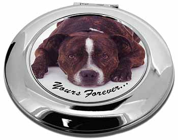 Staff Bull Terrier 