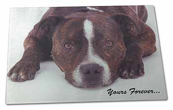 Large Glass Cutting Chopping Board Staff Bull Terrier 