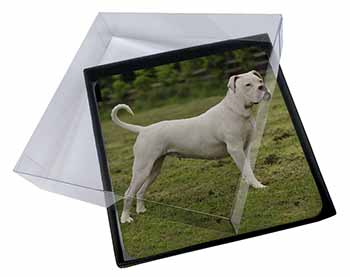 4x American Staffordshire Bull Terrier Dog Picture Table Coasters Set in Gift Bo