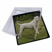 4x American Staffordshire Bull Terrier Dog Picture Table Coasters Set in Gift Box - Advanta Group®