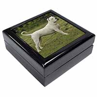 American Staffordshire Bull Terrier Dog Keepsake/Jewellery Box - Advanta Group®