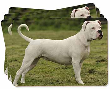 American Staffordshire Bull Terrier Dog Picture Placemats in Gift Box