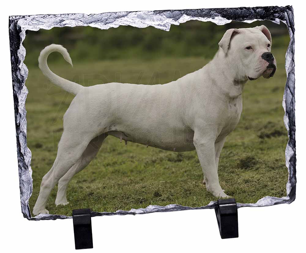bull terrier gift ideas