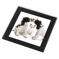 Cocker Spaniel and Kitten -Love Black Rim High Quality Glass Coaster