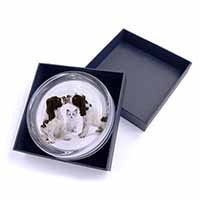 Cocker Spaniel and Kitten -Love Glass Paperweight in Gift Box