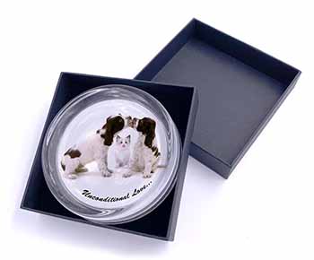 Cocker Spaniel and Kitten -Love Glass Paperweight in Gift Box