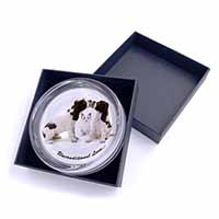 Cocker Spaniel and Kitten -Love Glass Paperweight in Gift Box