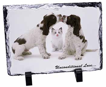 Cocker Spaniel and Kitten -Love, Stunning Photo Slate