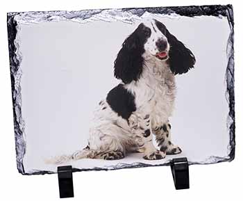 Cocker Spaniel Dog, Stunning Photo Slate