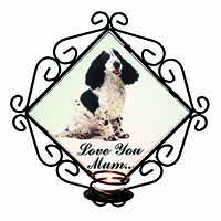 Black White Spaniel 