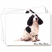Black White Spaniel 