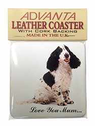 Black White Spaniel 