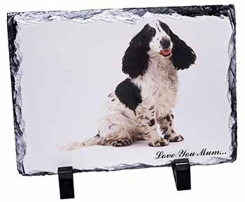 Black White Spaniel 