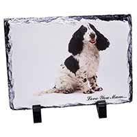 Black White Spaniel 