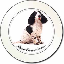 Black White Spaniel 