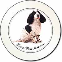 Black White Spaniel 