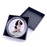 Cocker Spaniel With Love Glass Paperweight in Gift Box