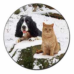 Cocker Spaniel and Cat Snow Scene Fridge Magnet Printed Full Colour