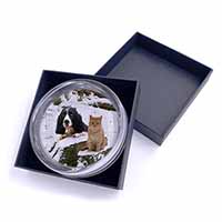 Cocker Spaniel and Cat Snow Scene Glass Paperweight in Gift Box