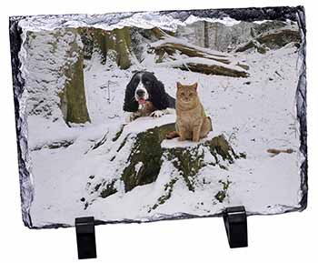 Cocker Spaniel and Cat Snow Scene, Stunning Photo Slate